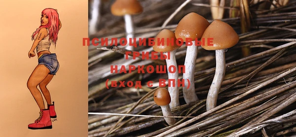 прущая мука Алексин