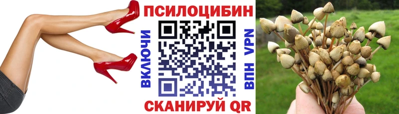 Галлюциногенные грибы Magic Shrooms  KRAKEN зеркало  Игарка 