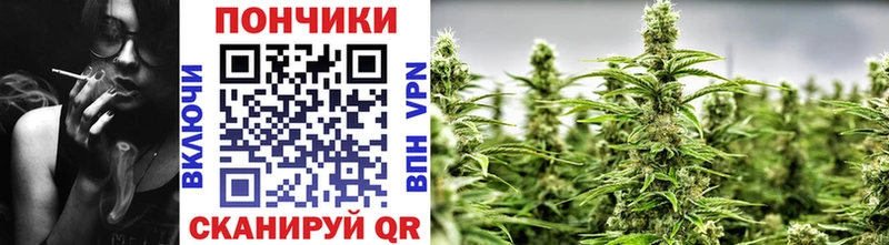 Бошки марихуана гибрид  МЕГА как войти  Игарка 
